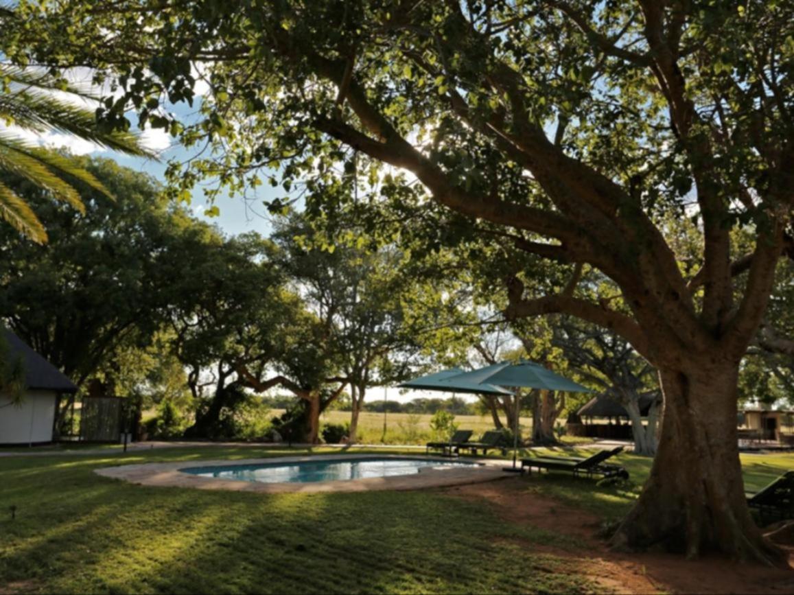 La Rochelle Lodge Namibia Tsumeb Eksteriør billede
